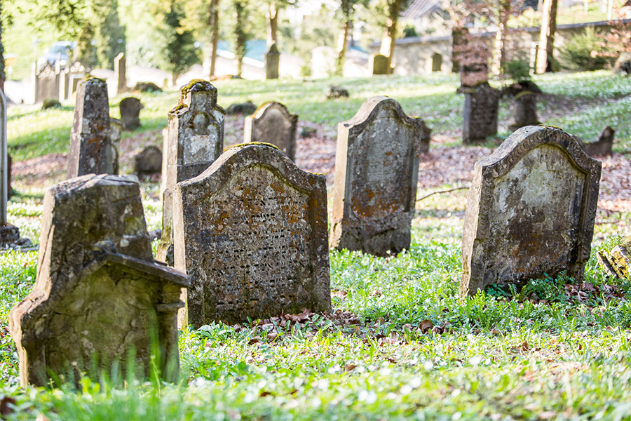 Tag des Denkmals 2024 Jüdischer Friedhof Hohenems